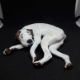Custom Pet Sculpture